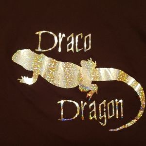 Draco dragon holographic tshirt